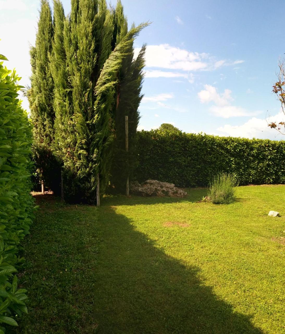 A Viterbo Terme "Casa Vacanze Al Melograno" 아파트 외부 사진